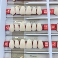 Dents de prothèse antérieure en acrylique 2 couches disponibles OEM