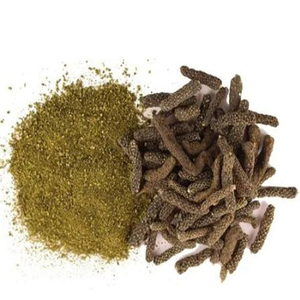 Extracto Seco Natural de Piper Longum Lindi (Pippali) en Polvo, Secado en Bandeja y por Aspersión, Extracto Botánico para Alimentos y Bebidas - Product Image 1