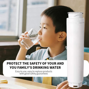 مخزون محلي في الولايات المتحدة ، شحن سريع بوش من أجل المنزل - Product Image 5