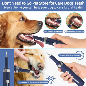 Nettoyeur dentaire ultrasonique de <span class=keywords><strong>tartre</strong></span> pour chiens chats en acier inoxydable, dispositif de nettoyage des dents pour les soins bucco-dentaires - Product Image 6