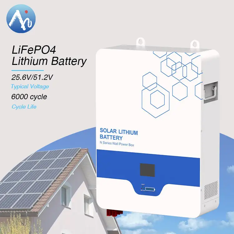 Solar battery 48v 51.2v 100 ah 200ah lifepo4 lithium battery
