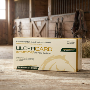 Boehringer Ingelheim Paquete de 6 Unidades de Ungüento Oral Ulcergard Omeprazol en Jeringa de 13.68 g PP - Product Image 2