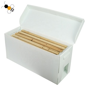 Personalizado PP 5 Marcos Langstroth Cartón Nuc Caja Plástico Apicultura Núcleo Para Abejas - Product Image 1