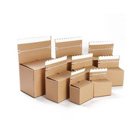 Boîte personnalisée de stockage robuste, emballage de boîte en carton ondulé d'expédition, boîte postale à fermeture éclair autocollante pour commerce électronique, livraison express