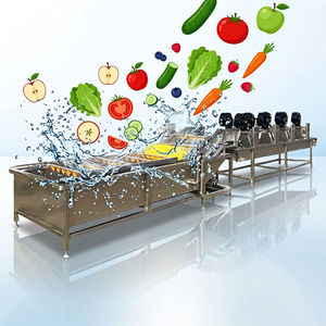 Máquina Automática <span class=keywords><strong>para</strong></span> Lavar y Pelar Frutas y Verduras, Limpieza de Brotecitos de Frijol, Transportador <span class=keywords><strong>para</strong></span> Lavar Champiñones - Product Image 5