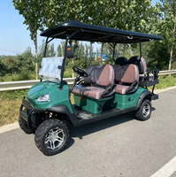 Chariot de golf et chariot utilitaire compact, style buggy de golf, pour les loisirs personnels quotidiens dans la cour