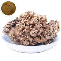 Extrait de champignon Maitake en poudre GANOHERB, qualité supérieure, durée de conservation de 2 ans, échantillon disponible en fût, stockage à l'abri de la chaleur et de l'humidité