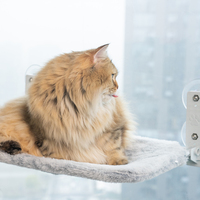 Fabricant en gros respirant ventouse suspendu pliable fenêtre chat hamac