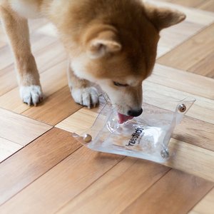 Tazón plegable para perros estilo japonés y coreano, tazón portátil transparente de PVC para comida y agua para perros, para exteriores. - Product Image 1