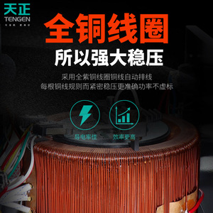 เท็นเก้น ทีเอ็นดี-7500 เครื่องปรับแรงดันไฟฟ้ากระแสสลับเฟสเดียว 220V แบบอัตโนมัติเต็มรูปแบบ คอยล์ทองแดงทั้งหมดสำหรับใช้ในครัวเรือน - Product Image 3
