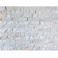 Carrelage mural extérieur en marbre blanc de style contemporain philippin, pierre naturelle polie et finition mate, anti-acide, pour décoration d'hôtel, Guangzhou