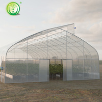 Climat tropical Top Ventilation Sawtooth Agricultural Plastic Film Tunnel Greenhouse pour légumes
