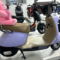 Vélos électriques de rue pour adultes 60V 500W, deux roues, pour les trajets quotidiens