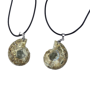 Collana con Ciondolo in Fossile di Conchiglia Naturale, <span class=keywords><strong>Gioielli</strong></span> in Cristallo per Donna e Uomo, Regalo all'Ingrosso - Product Image 3