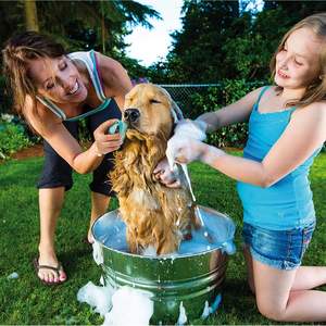 Individuelle Hundengrößenbürste Haustierpflege Bade- und Massagebürste mit Seife und Shampoospender - Product Image 6