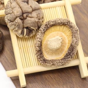 Champiñones Cultivados Naturales Puros, Champiñones Liofilizados, Champiñones Orgánicos, Alimentos, Champiñones Mágicos - Product Image 3