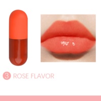 Ensemble de cosmétiques rouges à lèvres, lot de 10 pièces, gloss à clapet, coffret cadeau