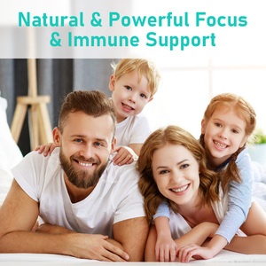 High Quality Mushroom Gummies 10 In 1 Blend for Adults Brain Mood Cognitive Health Mushroom Mood Relaxation Lions Mushroom - Product Image 6