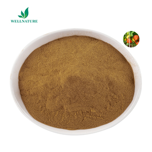 مسحوق مستخلص جذور الأشواغاندا KSM-66 عالي الجودة بأفضل سعر - بيع مباشر من المصنع - Product Image 2