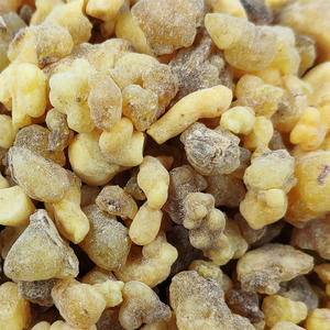 Armadillo bakau Cina Cina Cina pertumbuhan liar Boswellia Serrata Resin longgar Herbal aromatik dupa/Herbal untuk aditif makanan - Product Image 6