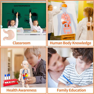 Kits Scientifiques Montessori DIY : Modèles 3D d'Anatomie Humaine pour l'Apprentissage <span class=keywords><strong>et</strong></span> les Ressources Pédagogiques – Jouets Éducatifs sur les Parties du <span class=keywords><strong>Corps</strong></span> <span class=keywords><strong>Humain</strong></span> - Product Image 4