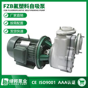 Bomba Autocebante de Fluoroplástico y Aluminio FZB de 40 hp de Baja Presión para Agua Limpia, Fabricada para Suministro de Agua - Product Image 2