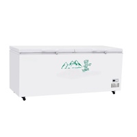 Congélateur horizontal commercial à ouverture supérieure avec refroidissement direct, grande capacité pour un stockage sécurisé