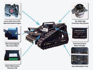 Cortadora de Césped y Maleza con Control Remoto, Venta Directa de Fábrica, Bajo Precio, Compre en Línea - Product Image 2