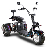 Vente en gros depuis l'entrepôt UE : Scooters électriques Citycoco à 3 roues pour adultes, 2000 W, 60 V, 20/40 Ah, puissants et longue autonomie