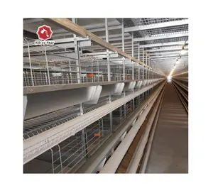 Open and Close House Egg Chicken Cage Equipment System