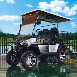 Voiturette de golf 2025, petite voiturette de golf électrique, mini-voiturette de club, 2 places, batterie au lithium, buggy côte à côte, homologuée pour la route - Product Image 5