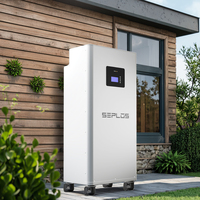 EU-Warehouse-Seplos MASON 48V 314Ah Packs de batterie assemblés Batterie Growatt Ark Batterie solaire Enphase