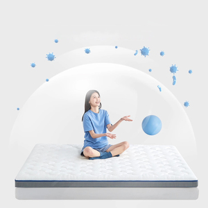Wholesale High Quality Luxury Best Ultra Soft Anti-Bacteria Fold Out Mattress Queen Mattress Bed