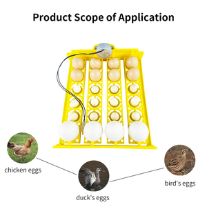 Chất Lượng Tốt Nhất Lồng Ấp Khay Trứng 24 Miếng Trứng Gà Tự Động Chuyển Khay Trứng Cho Mini Lồng Ấp - Product Image 3