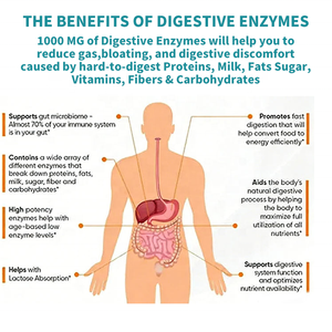 Tabletas de Enzimas Digestivas al por Mayor OEM, Suplemento para la Salud Intestinal, Probiótico - Product Image 2