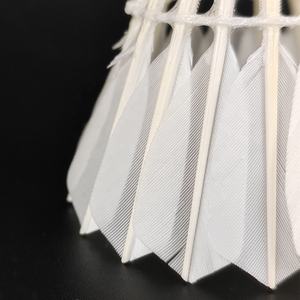 ريشة بدمنتون عالية الجودة من دان ران <span class=keywords><strong>DR</strong></span>-09، ريشة بطة مستقيمة فائقة المتانة للتدريب، كرة بدمنتون - Product Image 3