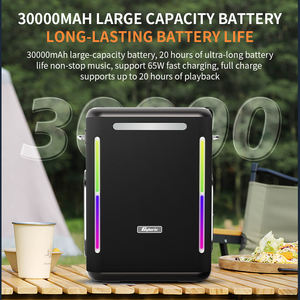ลำโพงคาราโอเกะบลูทูธไร้สาย200W, ลำโพงคาราโอเกะแบบพกพาเสียงรอบทิศทาง3D ไร้สายสำหรับกลางแจ้งวิทยุ FM/ เสียงอะคูสติก TWS เครื่องเล่นเมมโมรี่การ์ด - Product Image 3