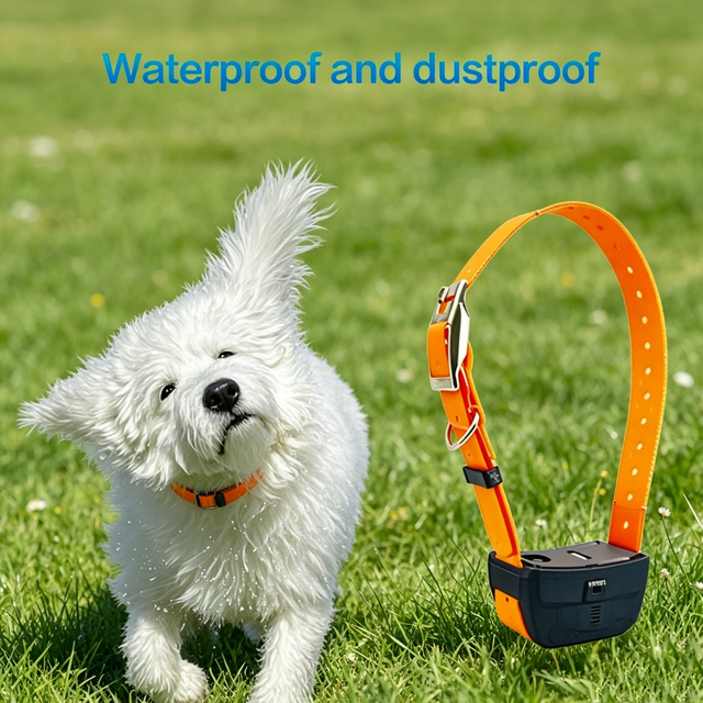 Wireless 4G LTE WiFi GPS Hunting Collar Mini Hound Waterproof LBS Tracking Device with PC Support 1 Year Warranty