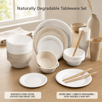 Umweltfreundliches 4-in-1 Kompostierbares Geschirrset, Einweg-Teller, Schüssel und Becher aus Bagasse für Hochzeiten, Partys und Catering