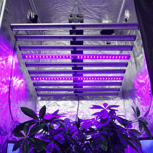 Lámpara de Cultivo LED de 860W, Espectro Completo, Comercial, UV IR LM301B, Barra de Cultivo para Plantas, para Cultivo Hidropónico Interior, Agricultura Vertical, Floración - Product Image 5