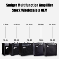 Amplificateur de Guitare Électrique, Basse et Acoustique Mini 5W 15W 30W 60W, Combo à Lampes Rechargeable, Fabrication Chinoise