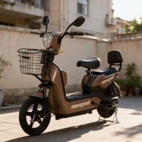 Vélo Électrique Paige en Promotion Usine, Scooter Motorisé ODM/OEM 48V 250W UE, Vélo Électrique Urbain Mini Pas Cher pour Femme, Vélo-Pedicab