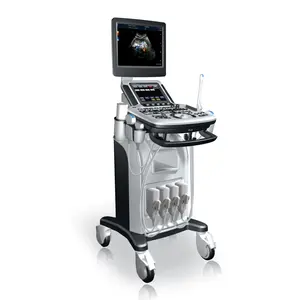 Trolley type cardiac probes 4D color doppler ultrasound equipments