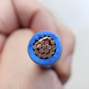 ฉนวน PVC 600V เทอร์โมพลาสติก2/0ลวดและ<span class=keywords><strong>สาย</strong></span>เคเบิล4 8 10 #12 14 <span class=keywords><strong>16</strong></span> AWG 8mm2 Thwn-2 - Product Image 2