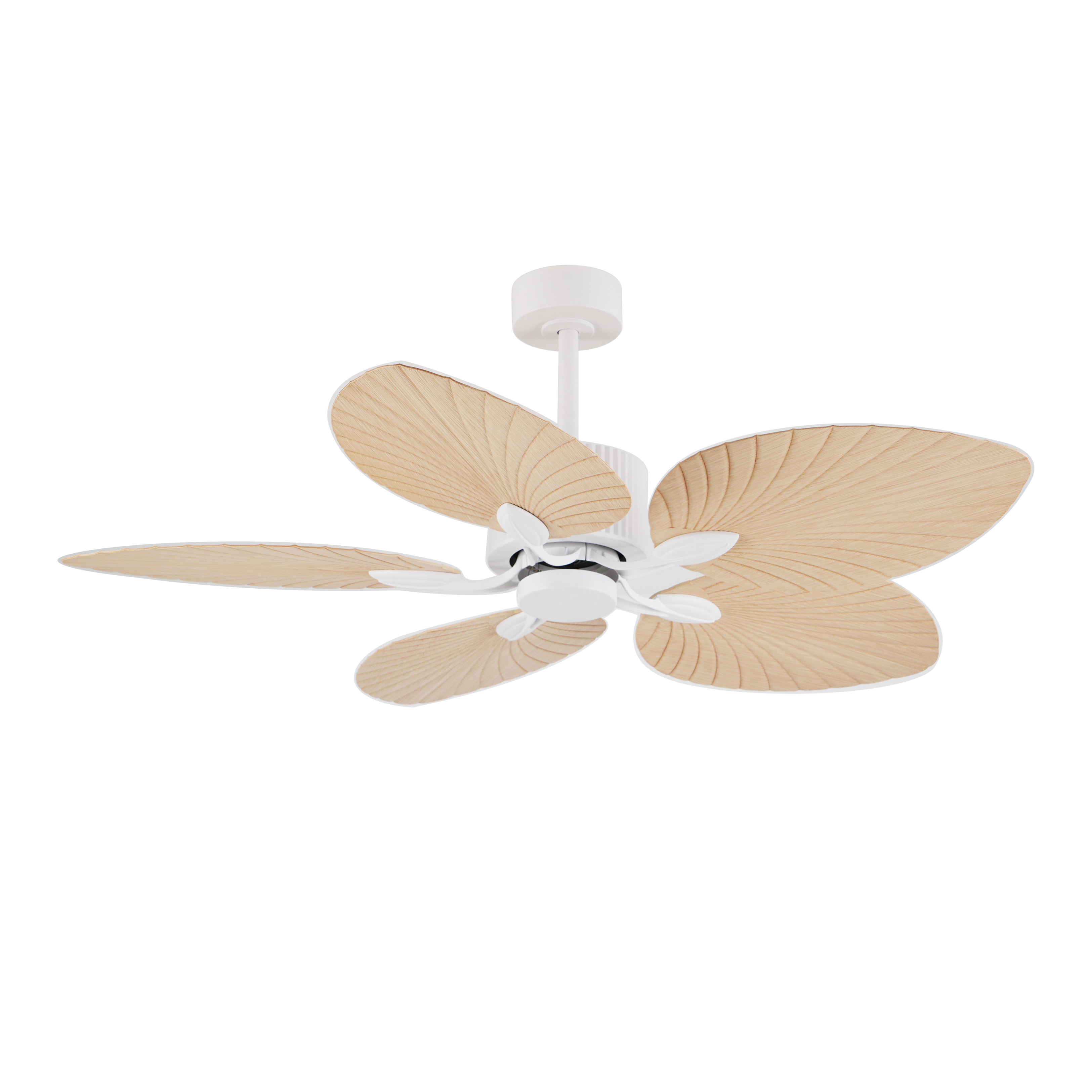 52 "Blanco + Natural Woodgrain