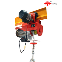 Mini-grue électrique personnalisable de haute qualité, capacité de charge élevée, moteur YuZhong 1,6 kW, vitesse de levage 10 m/min, télécommande sans fil
