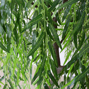 Árbol Artificial <span class=keywords><strong>de</strong></span> <span class=keywords><strong>Sauce</strong></span> Llorón Gigante, Planta Artificial Verde para Decoración <span class=keywords><strong>de</strong></span> Eventos, Bodas, Interiores y Exteriores - Product Image 6
