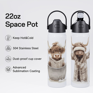 Bán buôn cá nhân 22oz thăng hoa đôi tường cup 304 thép không gỉ cách điện chai nước với push button - Product Image 5