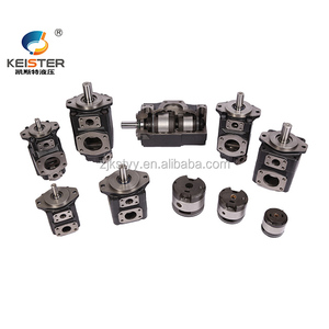 Garantie incluse, kit série T6, personnalisable, OEM, double ou triple pompe pour utilisation industrielle avec pompe rotative - Product Image 5