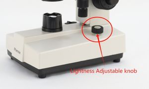 Phenix XSP-36C 복합 현미경 생물학 의학 쌍안 현미경 학술 사용 실험실 학생 살아있는 혈액 세포 - Product Image 3